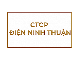 CÔNG TY CP ĐIỆN MẶT TRỜI DLG NINH THUẬN