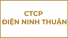 Công ty cổ phần Điện mặt trời DLG Ninh Thuận