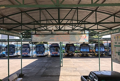 DL1: Con gà đẻ trứng vàng